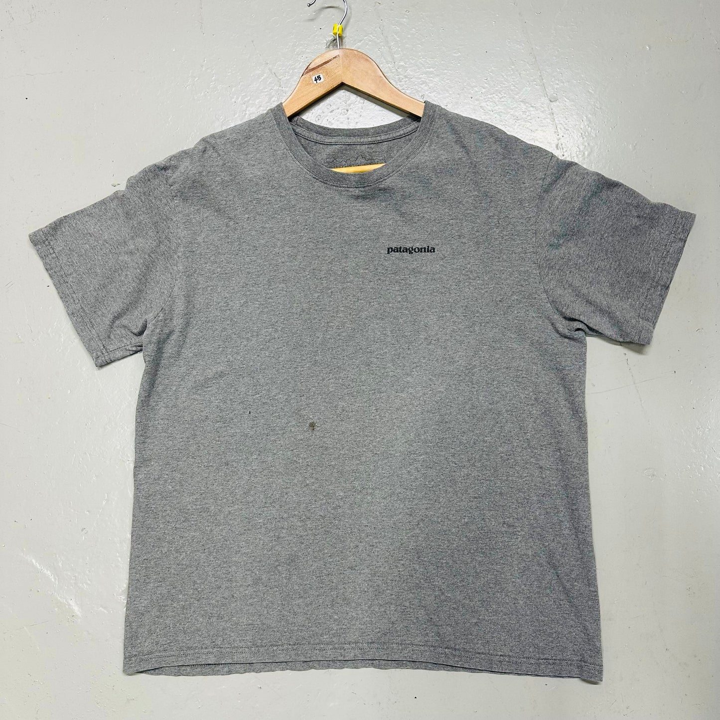 Patagonia print T-shirt