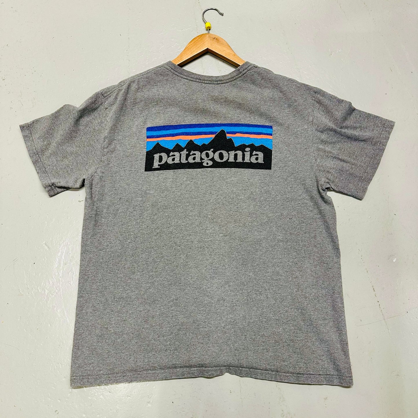 Patagonia print T-shirt