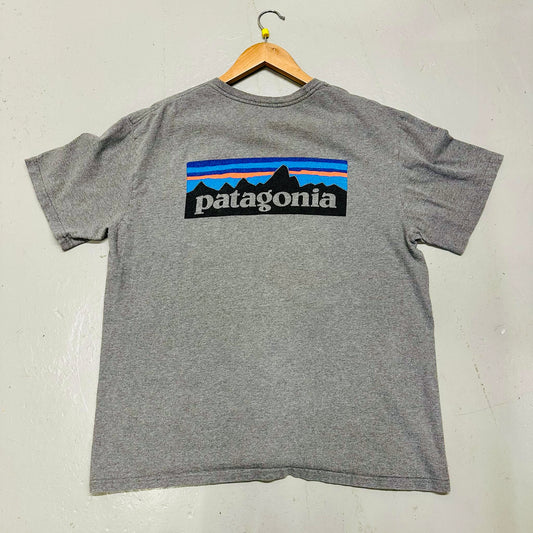 Patagonia print T-shirt